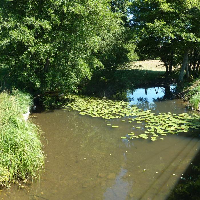 Photo de Borne-colonne N2 de la forêt de Chaux à Augerans